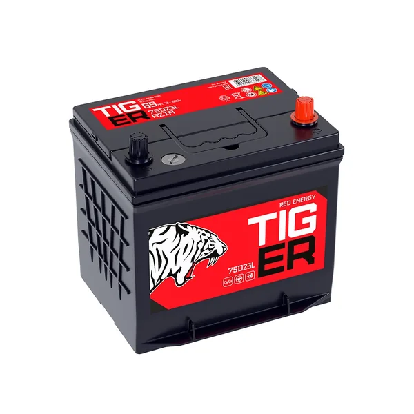 Аккумулятор TIGER Red Energy 65 Ач 600 А (EN), обратная полярность, D23