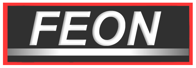 Логотип FEON